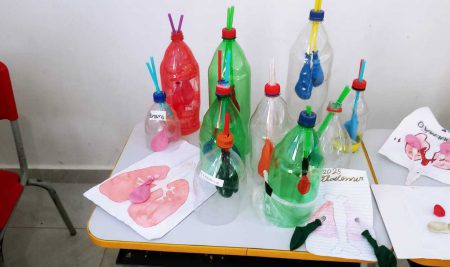 Sistema Respiratório