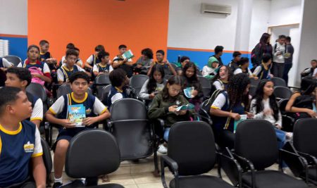 Visitação externa