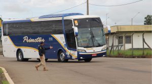 REALIZADA PELA POLICIA RODOVIÁRIA FEDERAL