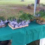 MUDAS DE FLORES E TEMPEROS PARA SEREM ENTREGUES AOS CONVIDADOS DO EVENTO