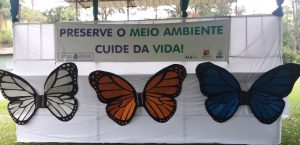 DIA DO MEIO AMBIENTE