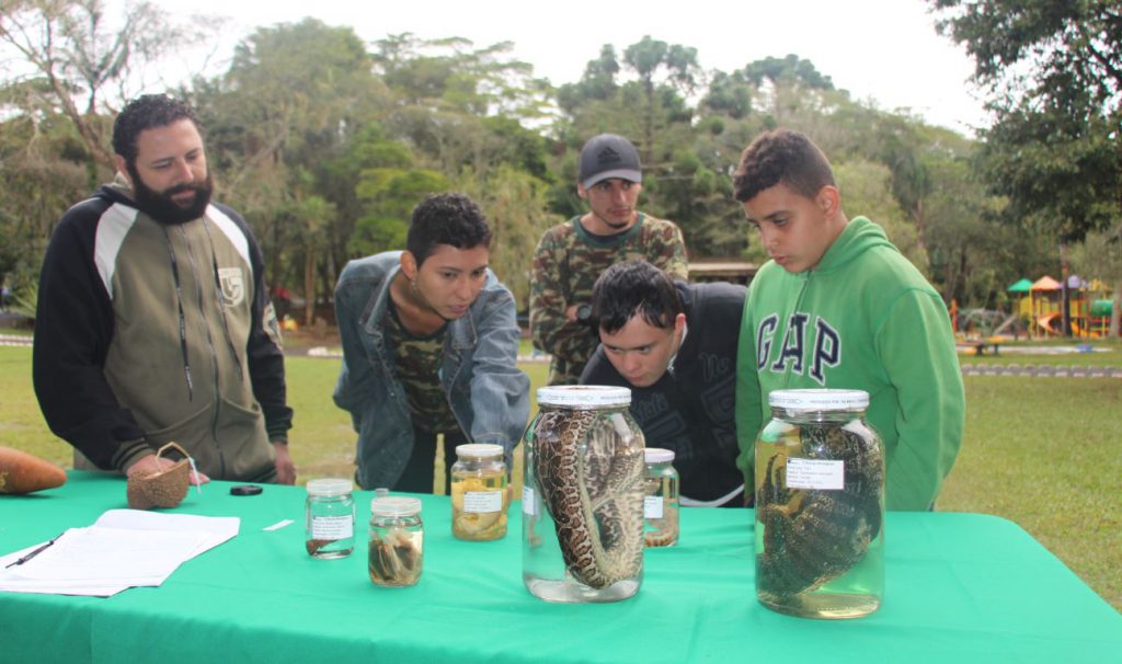 CURIOSIDADE ESTAMPADA NO ROSTINHO DE CADA ALUNO