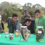 CURIOSIDADE ESTAMPADA NO ROSTINHO DE CADA ALUNO