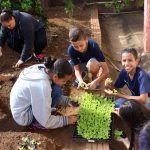 alunos separando as mudas de alface para realizarem o plantio