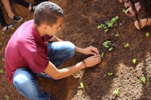 alunos realizando o plantio em canteiros no chão