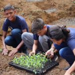 alunos separando as mudas de alface para realizarem o plantio