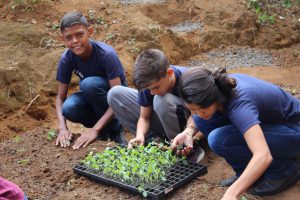 alunos separando as mudas de alface para realizarem o plantio