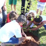 todos juntos para plantar