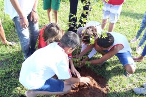 todos juntos para plantar