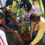 todos juntos para plantar