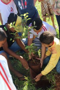 todos juntos para plantar