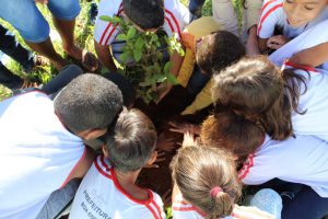 todos juntos para plantar