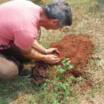 precisamos de uma ajudinha para mexer com a terra