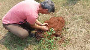 precisamos de uma ajudinha para mexer com a terra