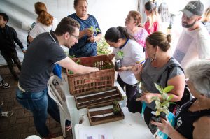 DISTRIBUIÇÃO DE MUDAS E ORIENTAÇÃO COM A SECRETARIA DE MEIO AMBIENTE