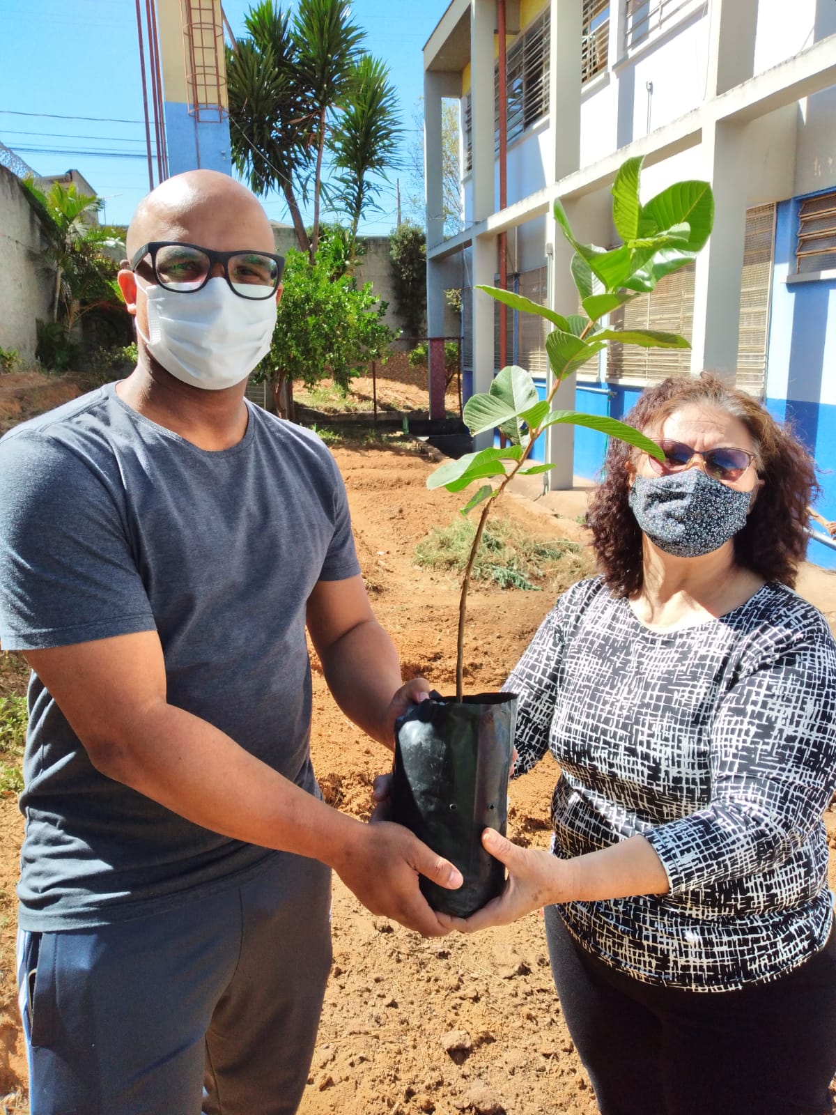 Professores da escola recebendo as mudas para início do plantio