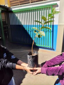 Alunos da escola recebendo as mudas para realizar o plantio