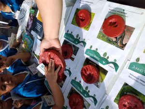 Presença dos alunos das escolas municipais de Registro/SP.