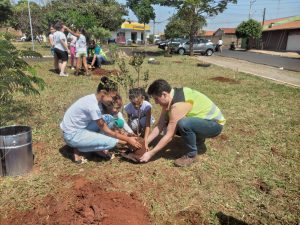 mãos na terra, hora de plantar