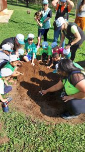 Plantio realizado com os alunos.