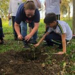 Hora de Plantar