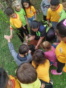 Plantando uma Arvore com os Alunos