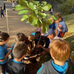 Ensinando os Alunos como Plantar uma Arvore