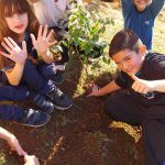 Alunos Plantando uma Arvore