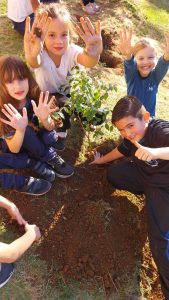 Alunos Plantando uma Arvore