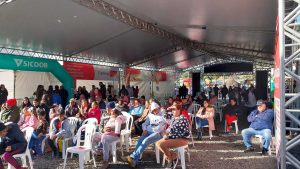 Campanha em Andamento