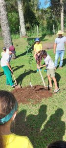 Ensinando os Alunos Como Plantar uma Arvore