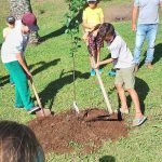 Ensinando os Alunos Como Plantar uma Arvore