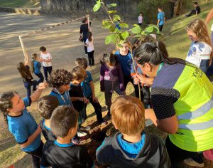 Ensinando os Alunos como Plantar uma Arvore