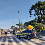 Panfletos Utilizados na Campanha