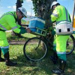 VIVA PEDESTRE E CICLISTA