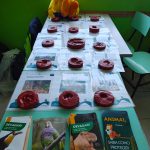 VISITA EXTERNA