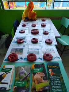 VISITA EXTERNA