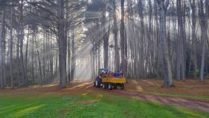 DIA DO MEIO AMBIENTE