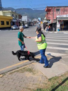 Abordagens e orientações.