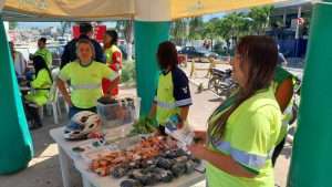 Material Orientativo e de segurança