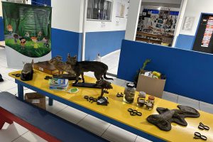 Semana do meio ambiente, Arteris Litoral Sul