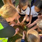 Conscientização da importância de plantar ao meio ambiente.