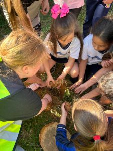 Conscientização da importância de plantar ao meio ambiente.