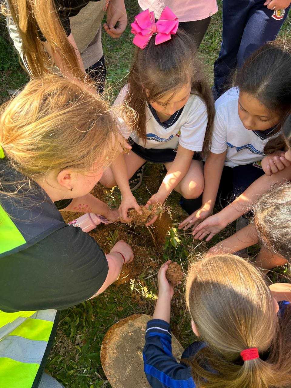 Conscientização da importância de plantar ao meio ambiente.