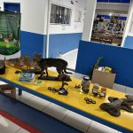 Exposição de animais taxidermizados,