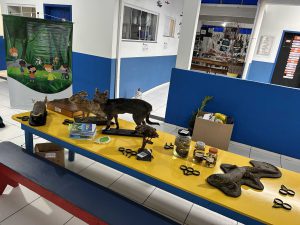 Exposição de animais taxidermizados,