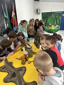 Exposição com mini lupas, permitindo que os alunos observassem de perto detalhes como pelagem, escamas, patas e outras características específicas