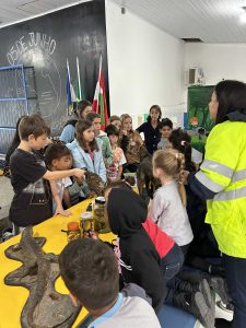 Exposição com mini lupas, permitindo que os alunos observassem de perto detalhes como pelagem, escamas, patas e outras características específicas