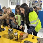 Dúvidas Esclarecidas proporcionando uma compreensão realista das ações realizadas em campo.