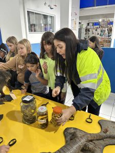 Dúvidas Esclarecidas proporcionando uma compreensão realista das ações realizadas em campo.